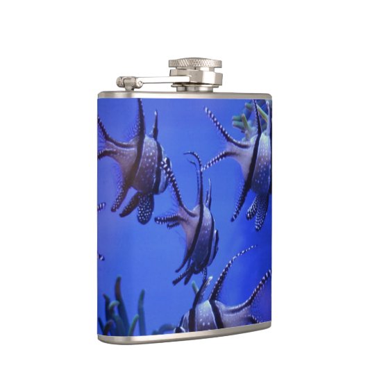 Schwarzer und weißer Angelfisch im tiefen Blauen M Flachmann (Rechts)