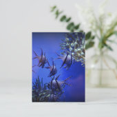 Schwarzer und weißer Angelfisch im tiefen Blauen M Postkarte (Stehend Vorderseite)