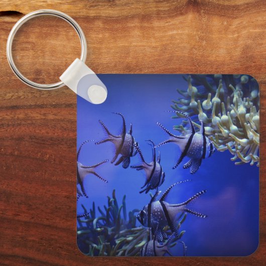 Schwarzer und weißer Angelfisch im tiefen Blauen M Schlüsselanhänger (Vorderseite)