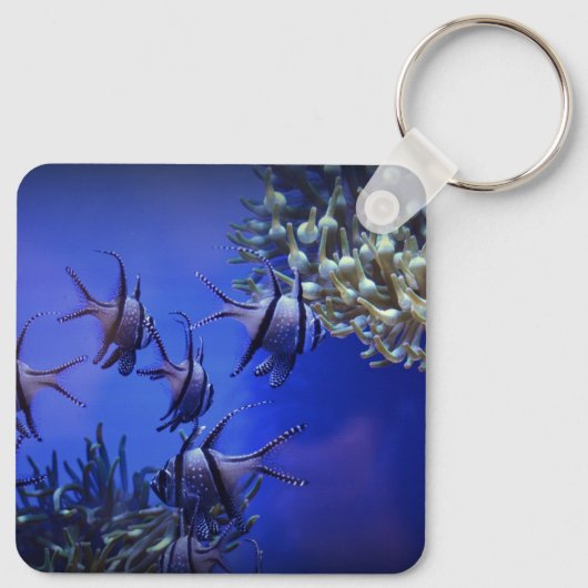 Schwarzer und weißer Angelfisch im tiefen Blauen M Schlüsselanhänger (Rückseite)