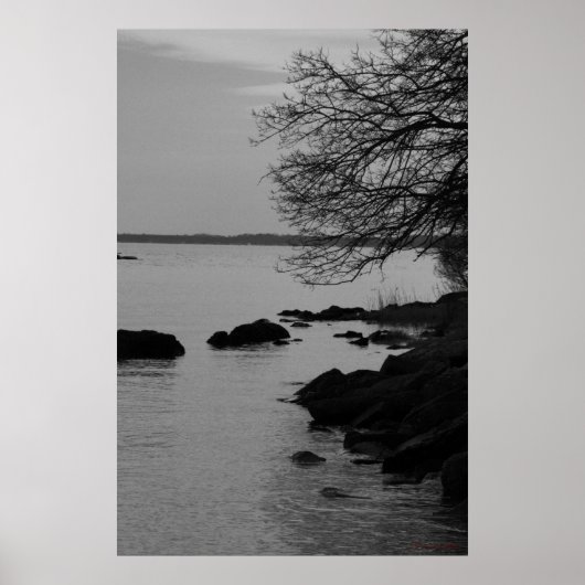 Schwarzer und weißer Baum über der Bucht #5845 Poster (Vorne)