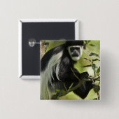 Schwarzer und weißer Colobus-Affe Button (Vorne & Hinten)