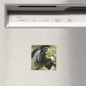Schwarzer und weißer Colobus-Affe Magnet (In Situ (Geschirrspüler))