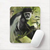 Schwarzer und weißer Colobus-Affe Mousepad (Mit Mouse)