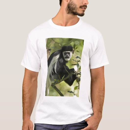 Schwarzer und weißer Colobus-Affe T-Shirt (Vorderseite)
