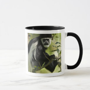 Schwarzer und weißer Colobus-Affe Tasse