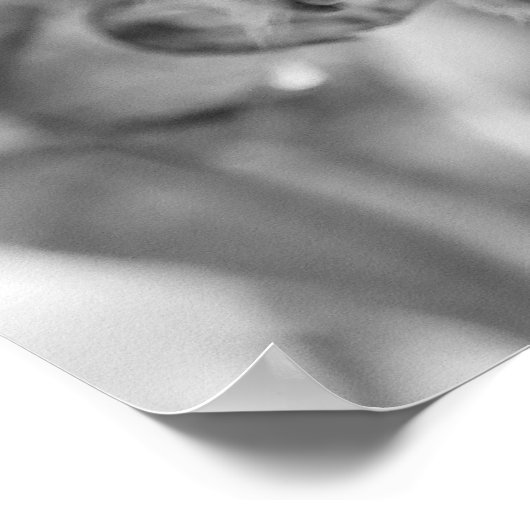 Schwarzer und weißer Eichhörnchen Poster (Ecke)