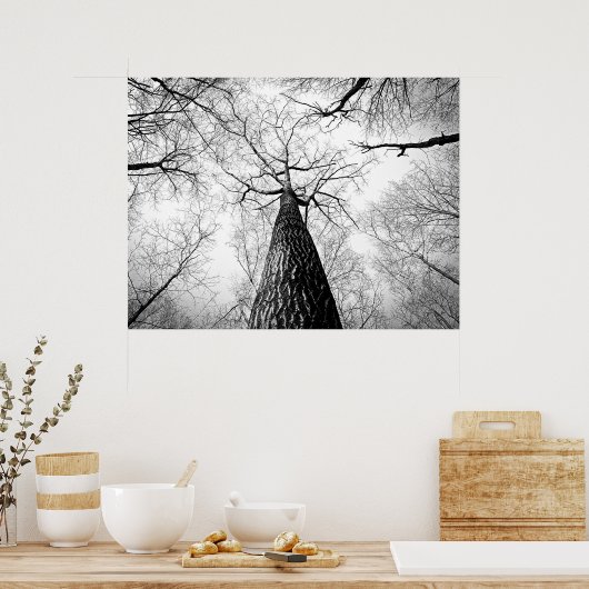 Schwarzer und weißer Herbstbaumwald Poster (Küche)