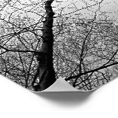 Schwarzer und weißer Herbstbaumwald Poster (Ecke)