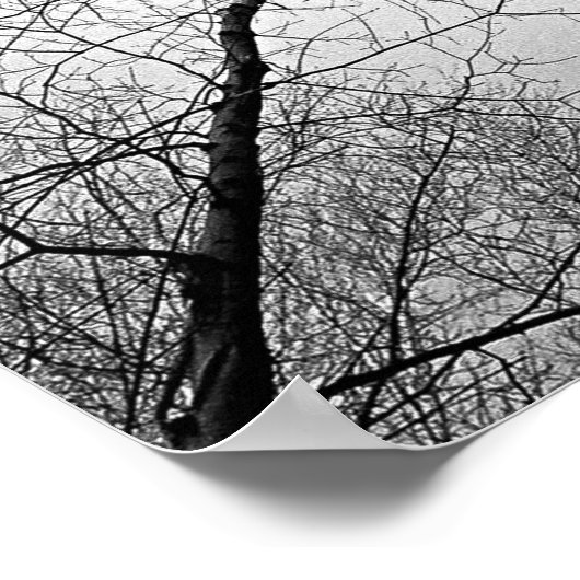 Schwarzer und weißer Herbstbaumwald Poster (Ecke)