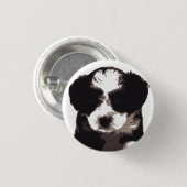 Schwarzer und weißer maltesischer Welpenhund Button (Vorne & Hinten)