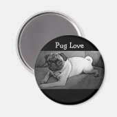Schwarzer und weißer Mops Magnet (Vorderseite/Rückseite)