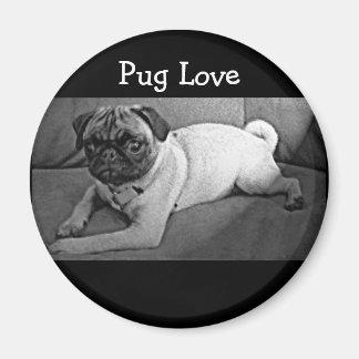 Schwarzer und weißer Mops Magnet