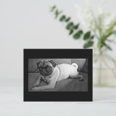 Schwarzer und weißer Mops Postkarte (Stehend Vorderseite)