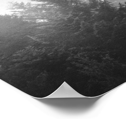 Schwarzer und weißer Nebelwald Poster (Ecke)