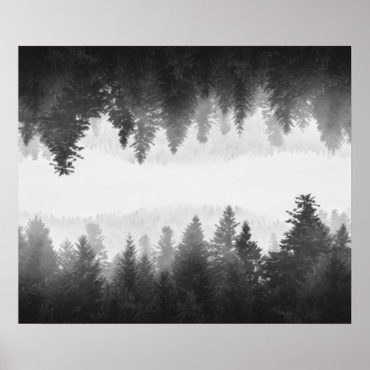 Schwarzer und weißer Nebelwald Poster (Vorne)