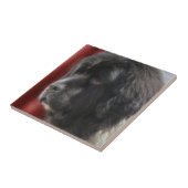 Schwarzer und weißer Neufundland-Hund Fliese (Seite)