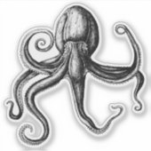 Schwarzer und weißer Oktopus Aufkleber (Vorderseite)