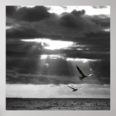 Schwarzer und Weißer Ozean Poster (Vorne)