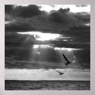 Schwarzer und Weißer Ozean Poster