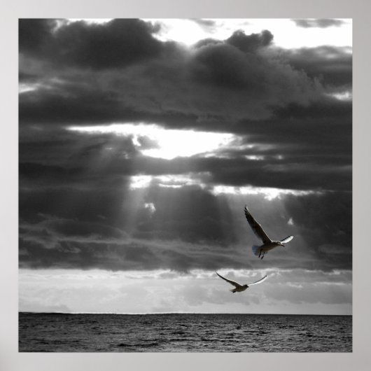 Schwarzer und Weißer Ozean Poster (Vorne)