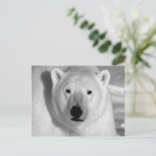 Schwarzer und weißer Polar Postkarte (Stehend Vorderseite)