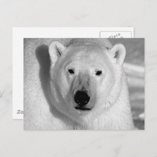 Schwarzer und weißer Polar Postkarte (Vorne/Hinten)
