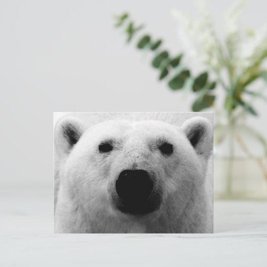 Schwarzer und weißer Polar Postkarte (Stehend Vorderseite)