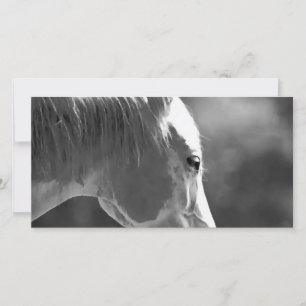 Schwarzer und weißer Pop