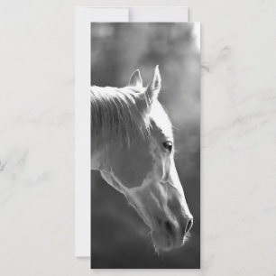 Schwarzer und weißer Pop