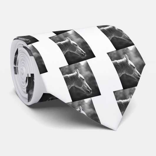 Schwarzer und weißer Pop Krawatte (Gerollt)