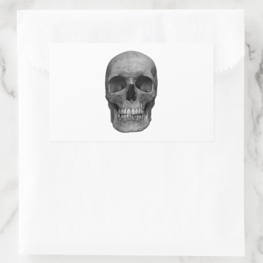 Schwarzer und weißer Schädel Rechteckiger Aufkleber (Tasche)