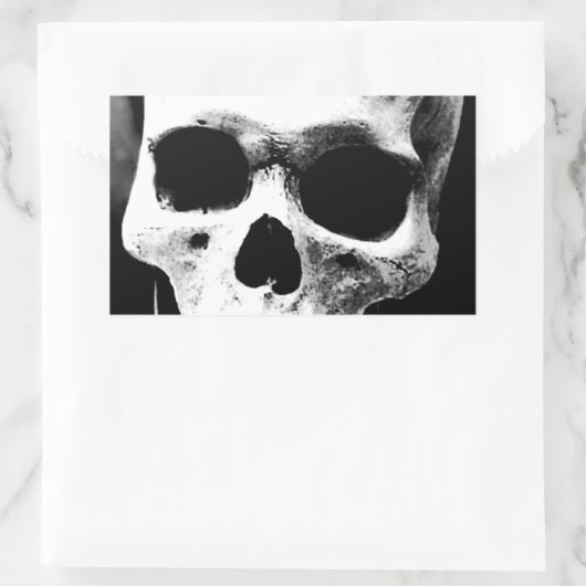 Schwarzer und weißer Schädel Rechteckiger Aufkleber (Tasche)