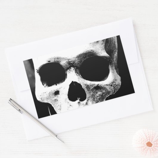 Schwarzer und weißer Schädel Rechteckiger Aufkleber (Umschlag)