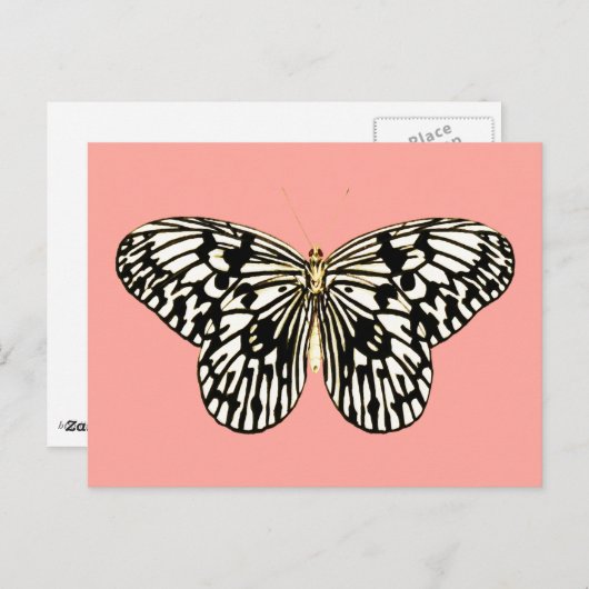 Schwarzer und weißer Schmetterling, korallenrosa H Postkarte (Vorne/Hinten)