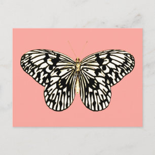 Schwarzer und weißer Schmetterling, korallenrosa H Postkarte