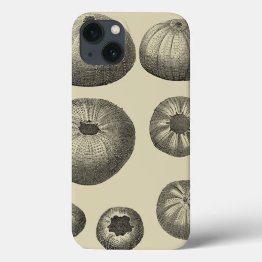 Schwarzer und Weißer Seeteufel Case-Mate iPhone Hülle (Rückseite)