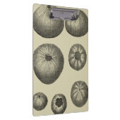 Schwarzer und Weißer Seeteufel Klemmbrett (Rechts)