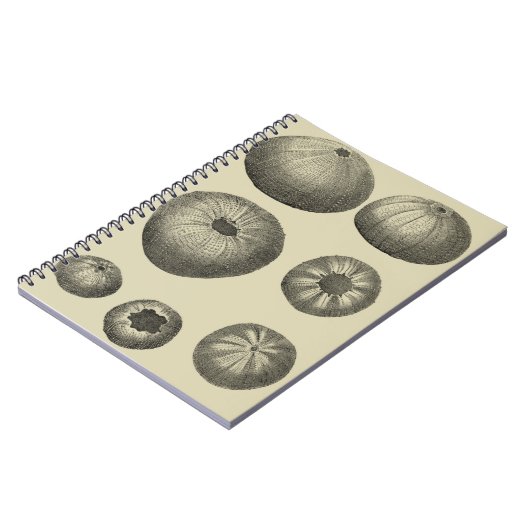 Schwarzer und Weißer Seeteufel Notizblock (Linke Seite)