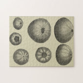 Schwarzer und Weißer Seeteufel Puzzle (Horizontal)