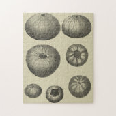 Schwarzer und Weißer Seeteufel Puzzle (Vertikal)