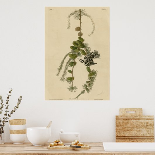 Schwarzer und weißer Strampler Poster (Küche)