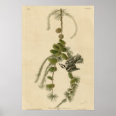 Schwarzer und weißer Strampler Poster (Vorne)