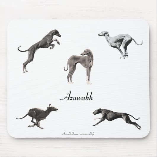 Schwarzer und weißer TEPPICH SOURIS Azawakhs Mousepad (Vorne)