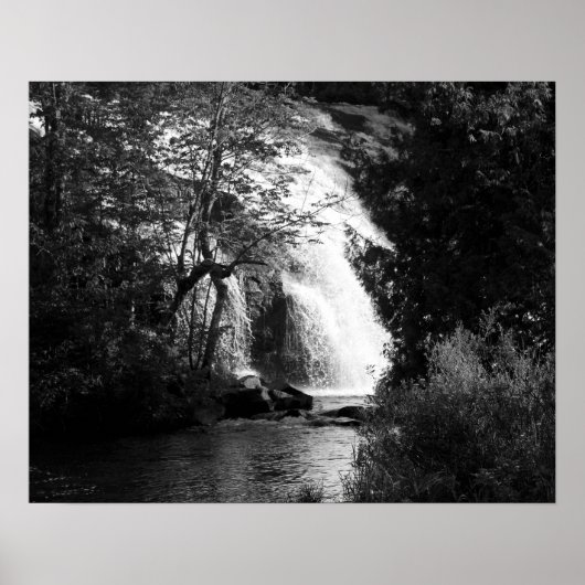 Schwarzer und weißer Wasserfall durch die Bäume 16 Poster (Vorne)