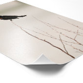 Schwarzer Vogel an der Außenstelle Fotodruck (Ecke)