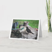 Schwarzer Vogel auf Rockery Karte (Vorderseite)