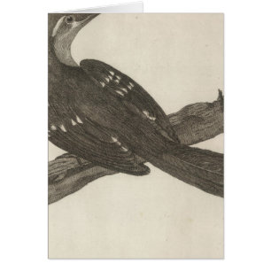 Schwarzer Vogel des französischen Hafens