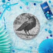 Schwarzer Vogel, Krähe, auf den Felsen Pappteller (Party)