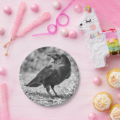 Schwarzer Vogel, Krähe, auf den Felsen Pappteller (Party)